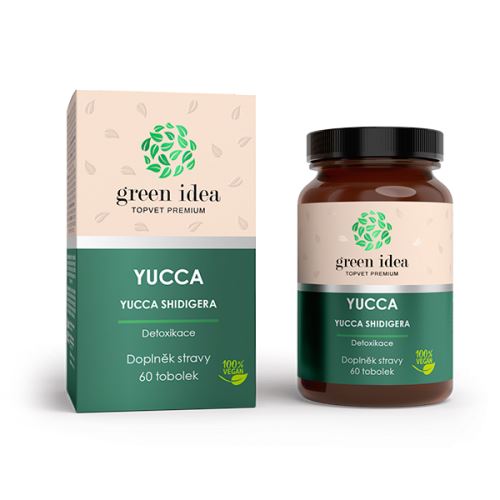 GREEN IDEA Yucca