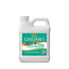 Absorbine Cool down, chladivá koupel po práci na bolavé svaly, láhev 946 ml