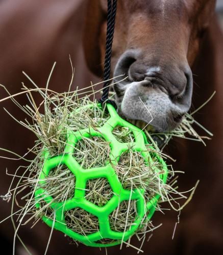 Waldhausen Hrací míč na seno pro koně - průměr 22 cm - zelený