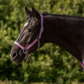 QHP Head collar set with turnout collection Cheery pink Shet (1)