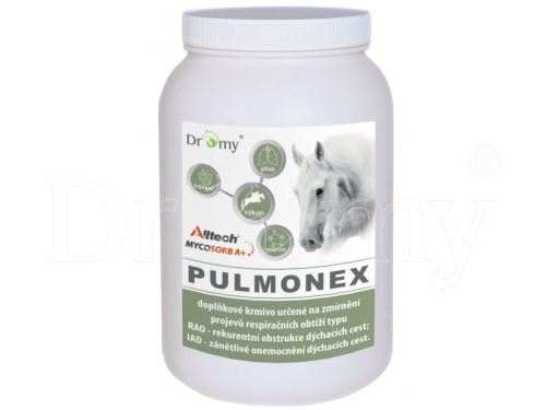 Dromy Pulmonex 1500 g