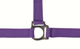 Ohlávka Stars nepodložená fialová