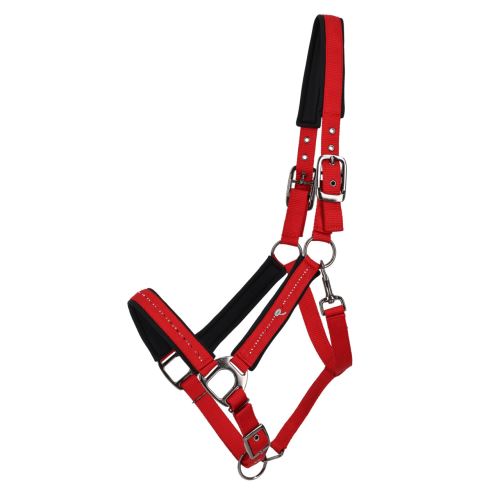 QHP Head collar Oakleigh Sunset red Pony