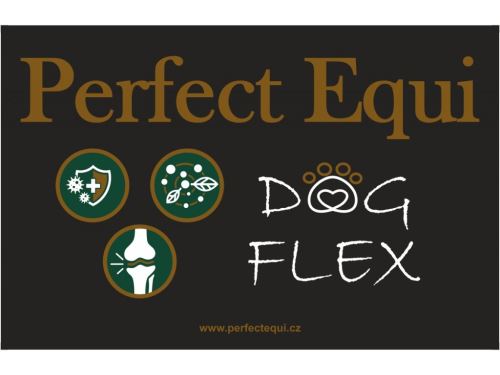 Perfect Equi DOG FLEX