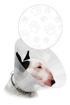Límec ochranný CVET transparent tlapky 10cm 1ks