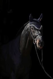 Bucas čabraka na uši tmavě modrá