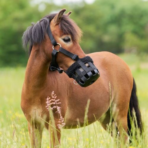 Náhubek pro koně s beránkem IRH Black
