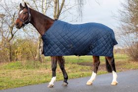 Stájová deka s Teddy beránkem 150g modrá Stájová deka s Teddy beránkem 150g modrá