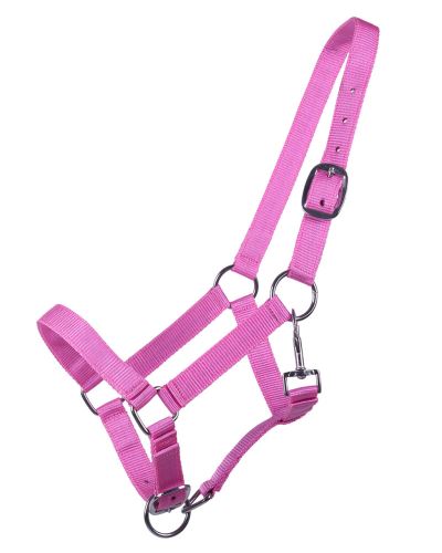 QE Head collar Yearling Baby-blue Yearling