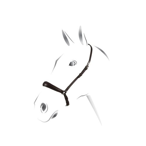 Hanoverský nánosník Equestro