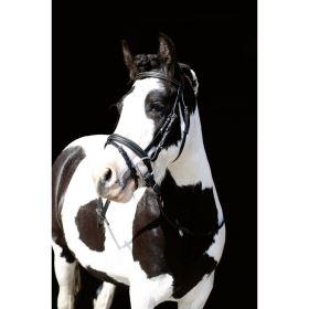 Uzdečka LOU černá