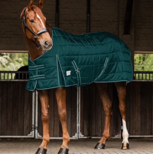 Stájová deka Economic W 300g jedlová zelená