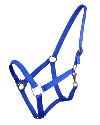 QE Head collar slide Anthracite Shet