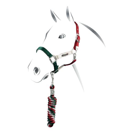 Nylonová barevná ohlávka Equestro s vodítkem - více barev