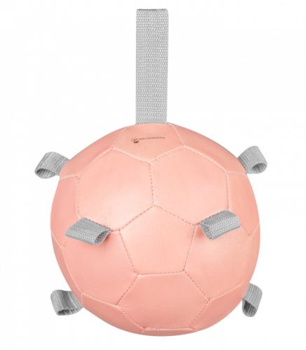 Mrkvový míč - růžový