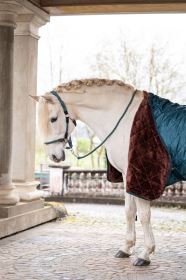 HKM stájová deka s teddy beránkem Winter II 50g