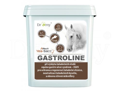 Dromy Gastroline 3000 g