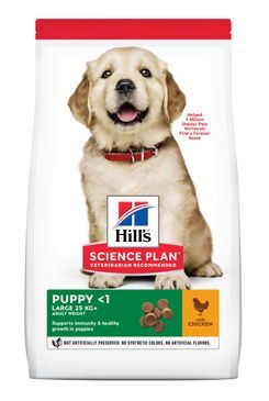 Hill's Can. SP Puppy Large Chicken ValuePack 16kg