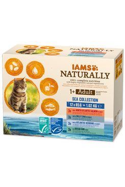 Iams Cat mořské maso v omáčce multipack 12x85g