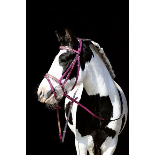 Uzdečka pro pony -Santa Fe- růžová