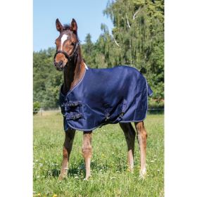 Hříběcí deka Professional s polarfleece