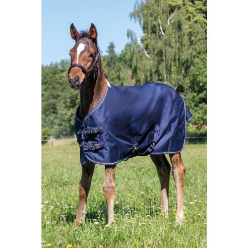 Hříběcí deka Professional s polarfleece