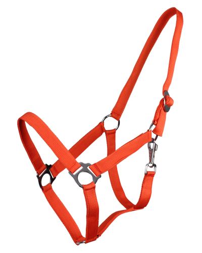QE Head collar slide Anthracite Shet