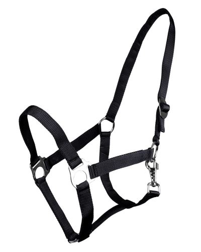 QE Head collar slide Anthracite Shet