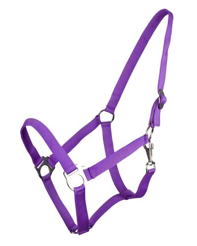QE Head collar slide Anthracite Shet