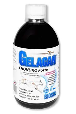 Gelacan Chondro Forte Biosol 500ml